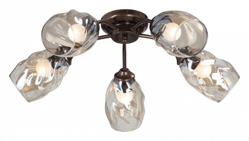 Потолочная люстра Vitaluce 4929 V4929-7/5PL 