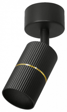 Накладной светильник Wolta NIMB WSL-GU10/18BG-2 