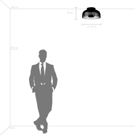 Потолочный светильник Celesta Lightstar 809061 