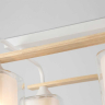 Потолочная люстра Ambrella Light TR TR3033246 