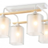 Потолочная люстра Ambrella Light TR TR3033246 
