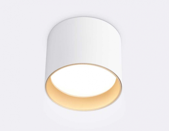 Накладной светильник Ambrella Light TN TN5304 