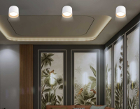 Накладной светильник Ambrella Light TN TN5304