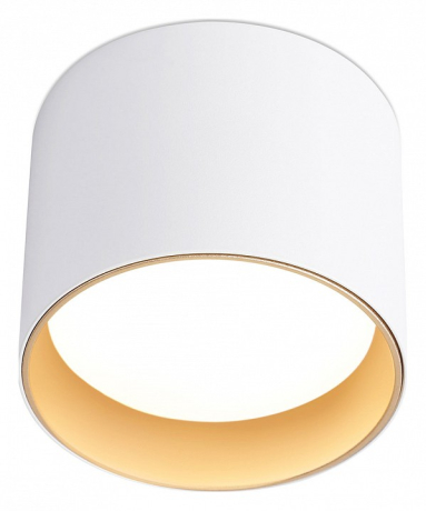 Накладной светильник Ambrella Light TN TN5304 