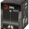 Подвесной светильник Эра PL21 SL GX53 серебро (Б0058505) 