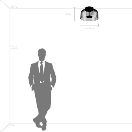 Потолочный светильник Celesta Lightstar 809062 