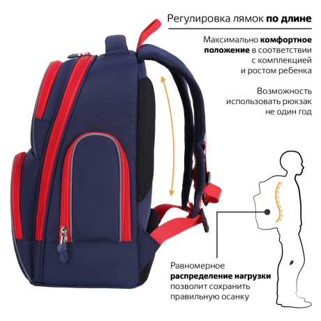 Нарушена упаковка!  <236609> Рюкзак BRAUBERG CLASSIC, легкий каркас, премиум материал, "Lion", синий, 37х32х21 см, 228829