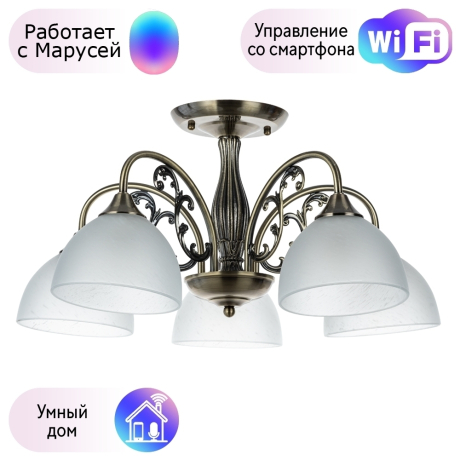 Потолочная люстра Spica Arte lamp с поддержкой Маруся A3037PL-5AB-М 