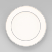 Потолочный диммируемый светильник Eurosvet Force 90331/2 (a065957)