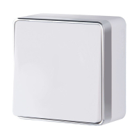 Выключатель одноклавишный проходной Gallant (белый) Werkel W5012001