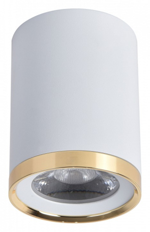 Накладной светильник Favourite Prakash 3085-1C 