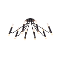 Потолочная люстра Maytoni Vigo MOD620CL-16B