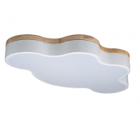 Потолочный светодиодный светильник Axel Loft It 10005/36 White