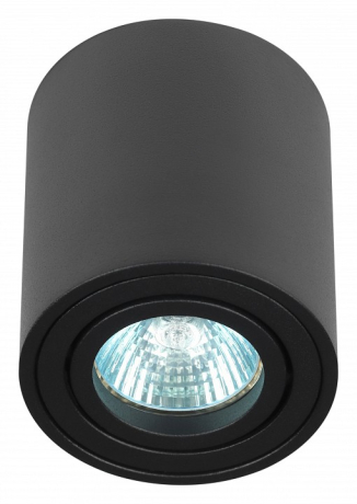 Накладной светильник Эра OL21 BK Б0054393 