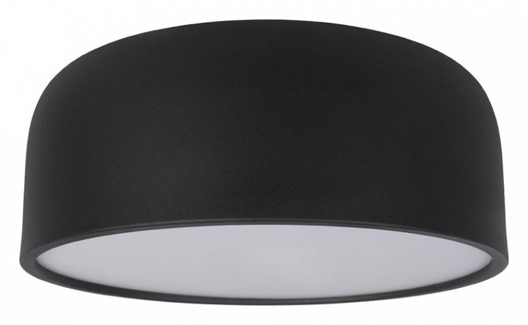 Накладной светильник Loft it Axel 10201/350 Black 