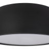 Накладной светильник Loft it Axel 10201/350 Black 