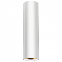 Подвесной светильник Эра PL1 PL1 GU10 WH 300