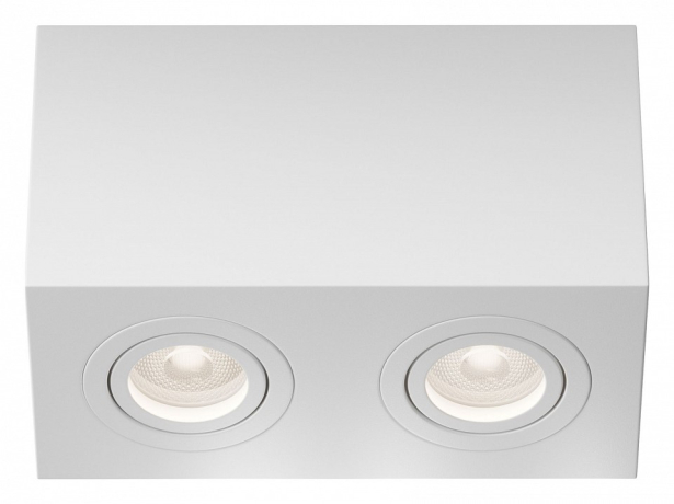 Накладной светильник Maytoni Technical Atom C017CL-02W 