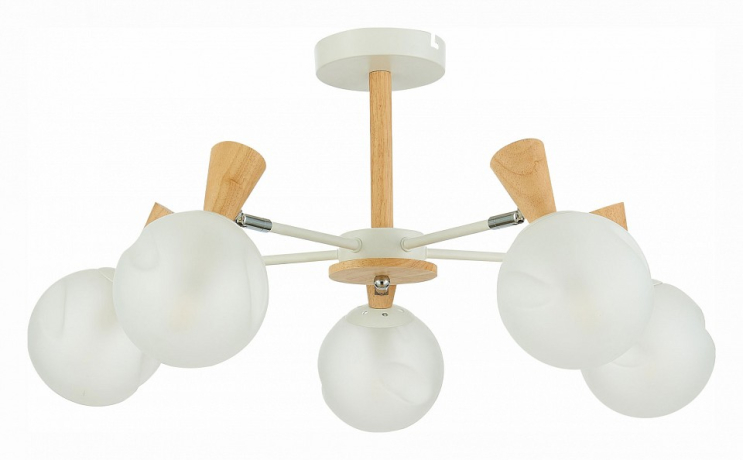 Люстра на штанге EVOLUCE Catania SLE220702-05 