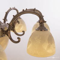 Люстра подвесная Bohemia Ivele Crystal 72109P/8/210 Ni P1 D Angel