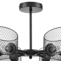 Люстра на штанге Lumion Tidina County 8238/6C