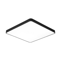 A2669PL-1BK Настенно-потолочный светодиодный светильник Arte Lamp Scena