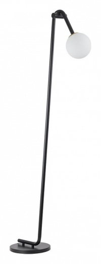 Торшер Lumion Dexter 6500/1F