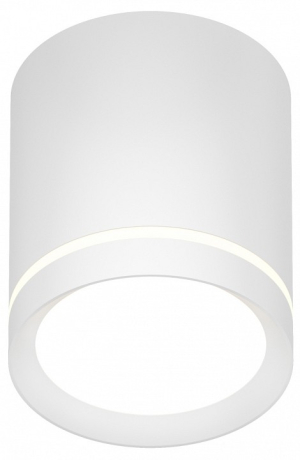 Накладной светильник Denkirs DK401 DK4013-WH