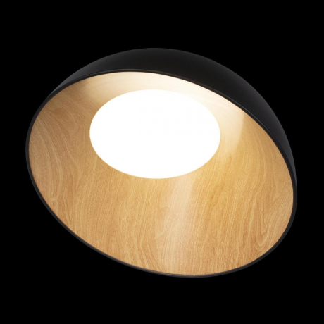 Накладной светильник Loft it Egg 10197/500 Black 