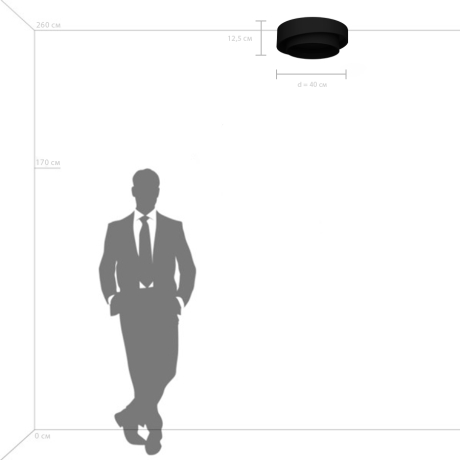 Потолочный светильник Celesta Lightstar 809416 