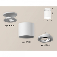 Накладной точечный светильник Ambrella Techno (N7925, C7401, N7001) XS7401061