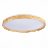 Светодиодная диммируемая потолочная люстра Evoluce Delia SLE201382-01