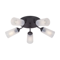 Потолочная люстра Vitaluce V3762 V3762-1/5PL