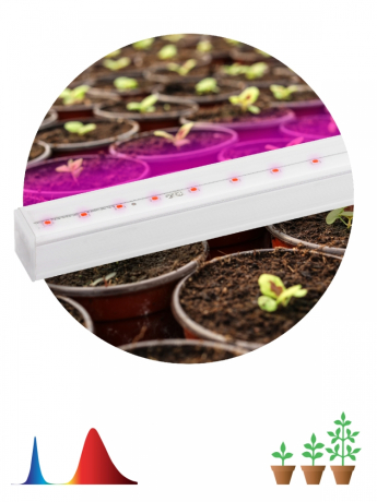 Светильник для растений, фитолампа светодиодная линейная ЭРА FITO-9W-Т5-N красно-синего спектра 9 Вт Т5 Б0045231 