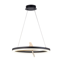 подвесная люстра F-Promo Bardy 4654-1P