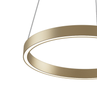 Подвесной светильник Maytoni MOD058PL-L22BSK Rim