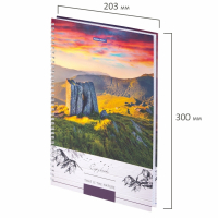 Нарушена упаковка!  <319647> Тетрадь А4, 80 л., BRAUBERG, гребень, клетка, обложка твердая, "Nature", 404054 (404054)