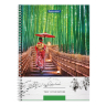 Нарушена упаковка!  <319647> Тетрадь А4, 80 л., BRAUBERG, гребень, клетка, обложка твердая, "Nature", 404054 (404054)
