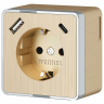 Розетка с заземлением и со шторками и USB Werkel Gallant (шампань рифленый) W5071710 
