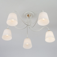 Потолочная люстра 70062/5 белый Eurosvet