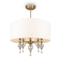 Светильник на штанге Freya Raise FR5369CL-05BS1