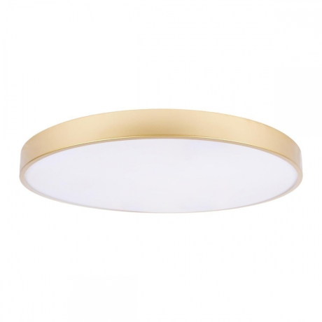 Потолочный светодиодный светильник Loft IT Flims 10228/B 