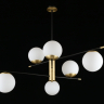 Люстра потолочная Aployt Kristina APL.313.07.06 