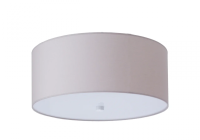 Потолочный светильник ТопДекор Relax P1 10 07g