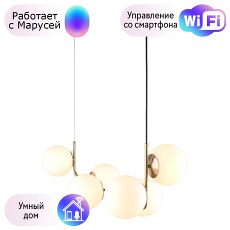 Светильник с поддержкой Маруси подвесной Omnilux OML-66603-06-M 