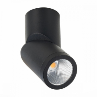 Светильник на штанге ST-Luce ST650 ST650.442.10