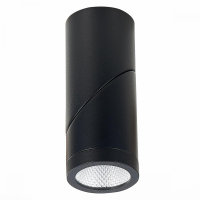 Светильник на штанге ST-Luce ST650 ST650.442.10