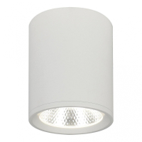 Накладной светильник Escada 20003 20003SMU/02LED SWH