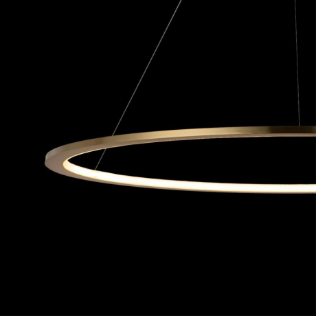 Светильник подвесной светодиодный LOFTIT Ring 10014XL 