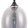 Подвесной светильник Arte Lamp Propus A4344SP-1BK 